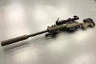 Striker AST-01 Tan M-lok Carbon HPA Wolverine Custom