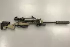 Striker AST-01 Tan M-lok Carbon HPA Wolverine Custom