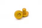 CNC Gold screw set for Hi-Capa GBB Tokyo Marui AIP