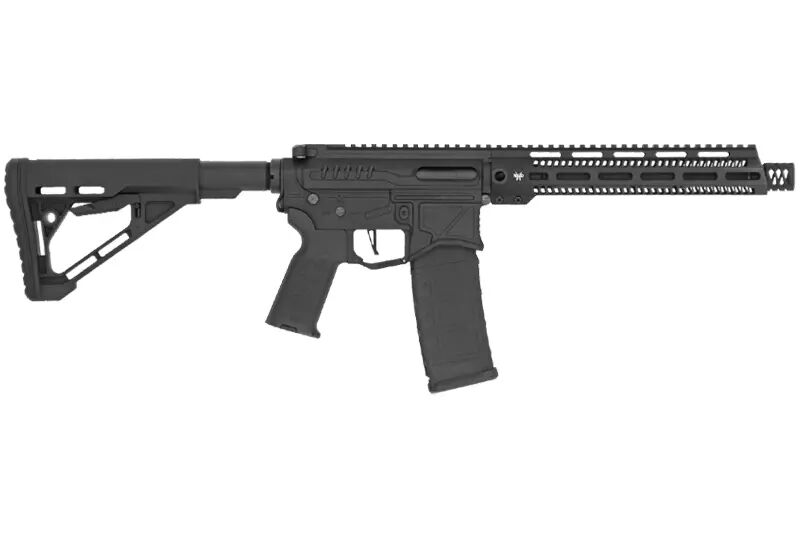 Replica R15 Mod1 long R&D Precision black Zion Arms