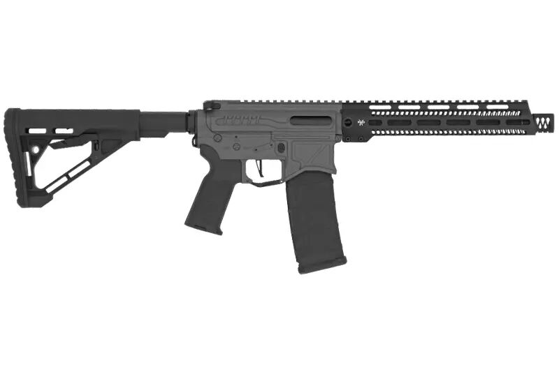 R&eacute;plique R15 mod 1 Zion Arms noir/gris garde main long