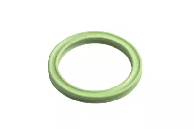 Sealed X-RING for piston head (XRTP)